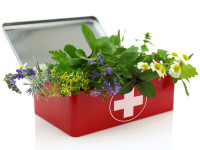 Fresh herbs in first aid kit